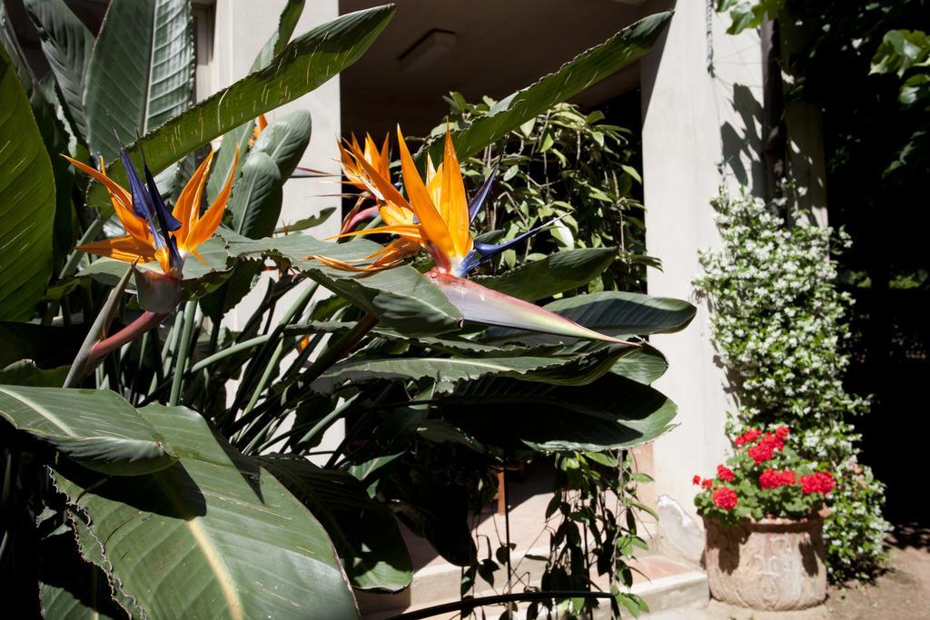 Albergo Stella Casciana Terme Eksteriør bilde